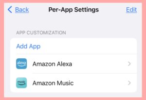 Per app Setting | 20+ Eay-to-Use iPhone Tricks | iRepair Zone