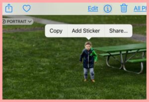 Add Sticker in Photos | 20+ Eay-to-Use iPhone Tricks | iRepair Zone